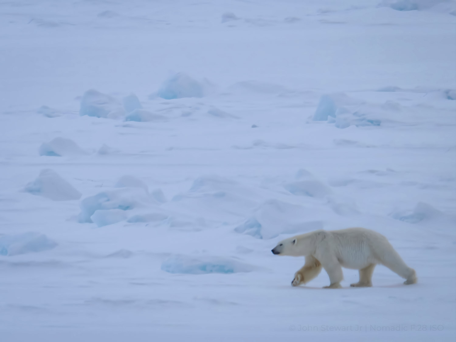The Last Kingdom — Svalbard 2025