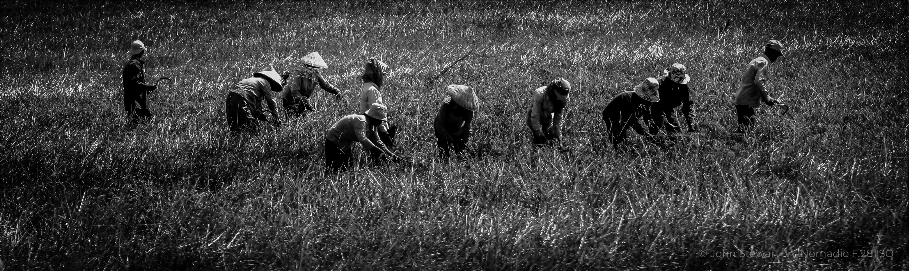 Inherited Work — Tr&agrave; Vinh, Vietnam 2014